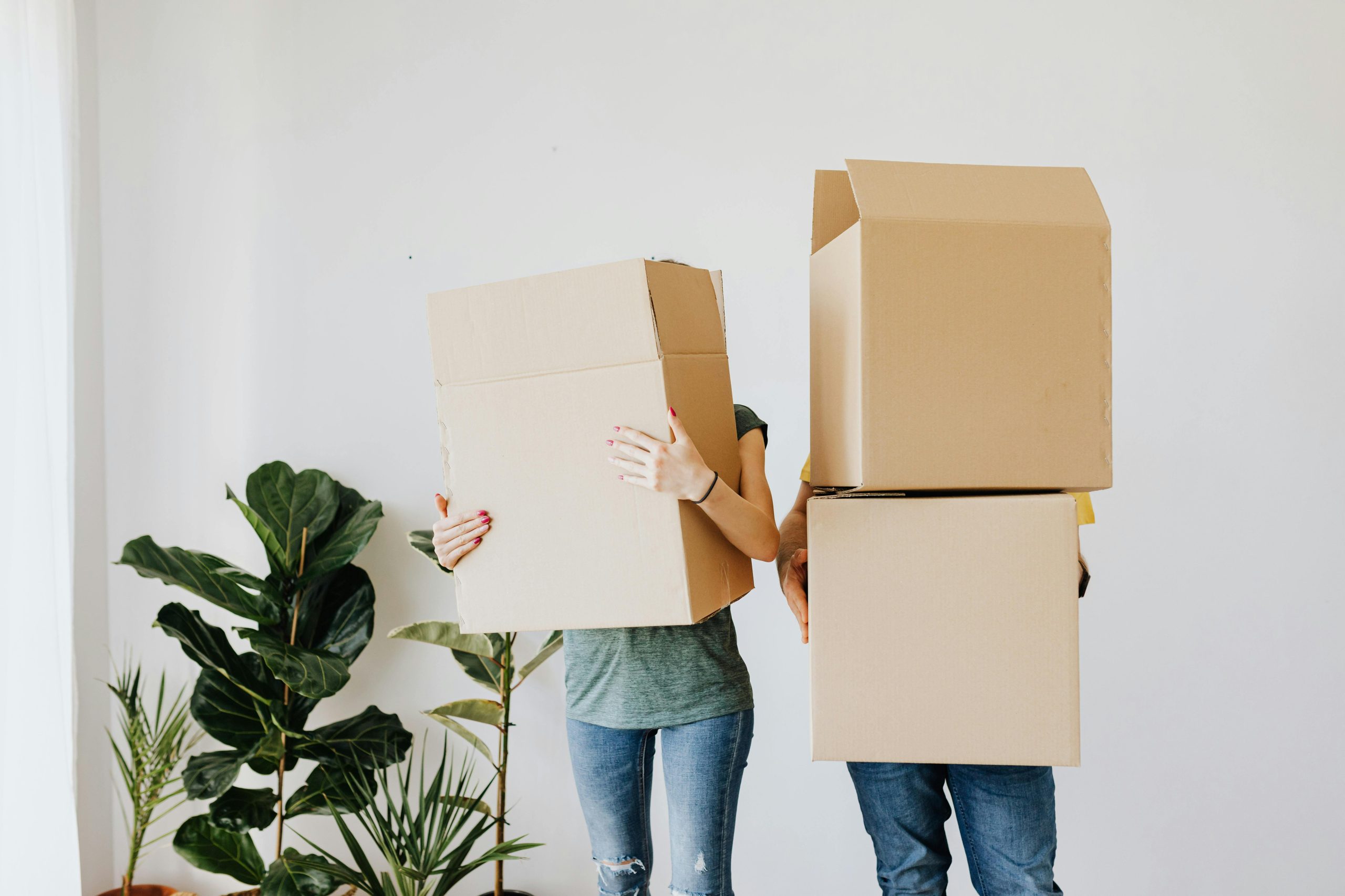Tre i ett tjänst. Packning, transport och flyttstädning.